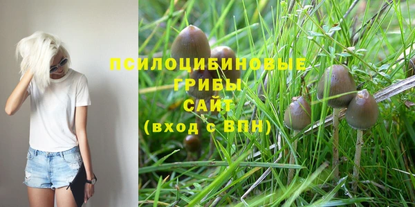 MESCALINE Абаза