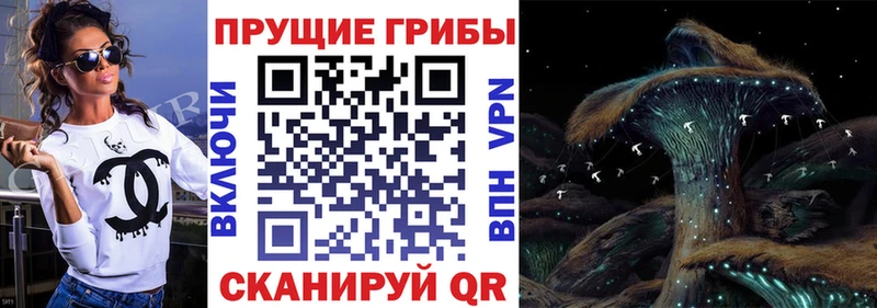 ссылка на мегу ССЫЛКА  купить закладку  Нефтеюганск  Галлюциногенные грибы Cubensis 