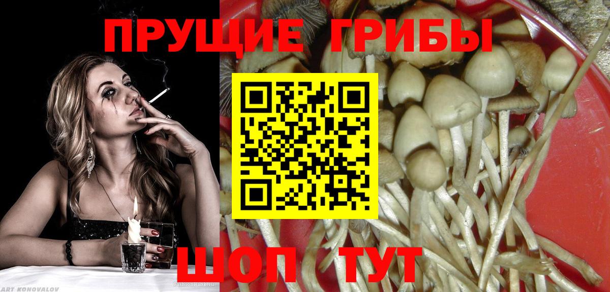 Псилоцибиновые грибы GOLDEN TEACHER Нефтеюганск
